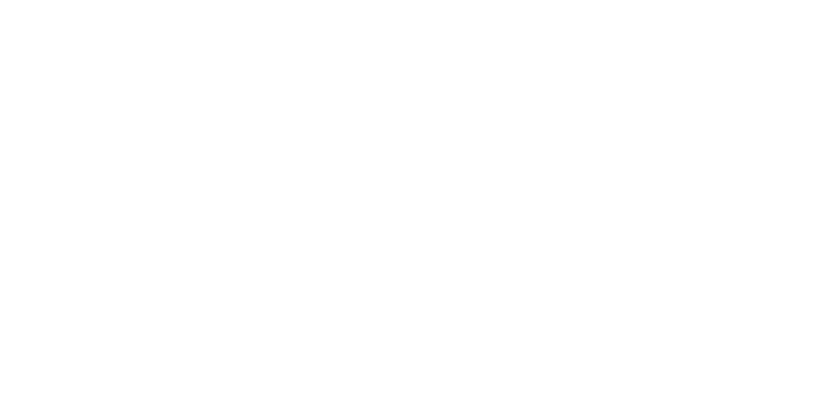 Ceramic Dura Guard logo