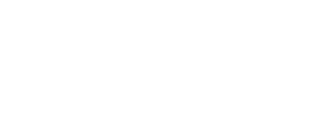 Ceramic Paint Protection logo